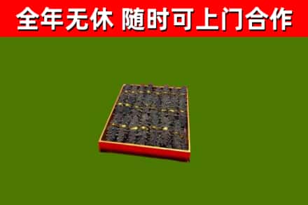 源汇区回收海参